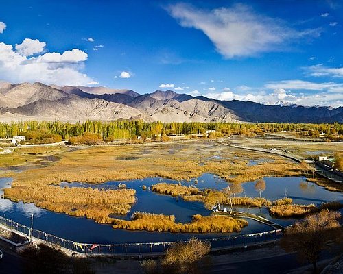 THE 15 BEST Things to Do in Ladakh - 2024 (with Photos) - Tripadvisor