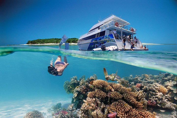 2024 3-Day Southern Great Barrier Reef Tour Including Lady Musgrave Island  (Brisbane)