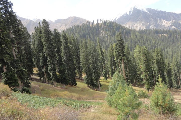 2024 Islamabad Naran Kaghan Tour Package   Caption 