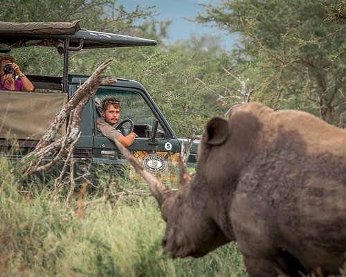 safari south africa 2023