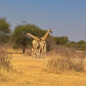 3 places to visit in chad
