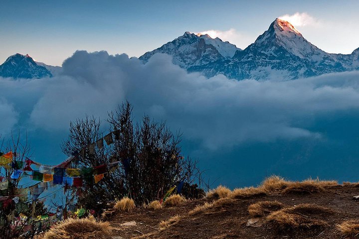 Tripadvisor | Ghorepani Poon Hill Trek Provided By Adventure World Club ...