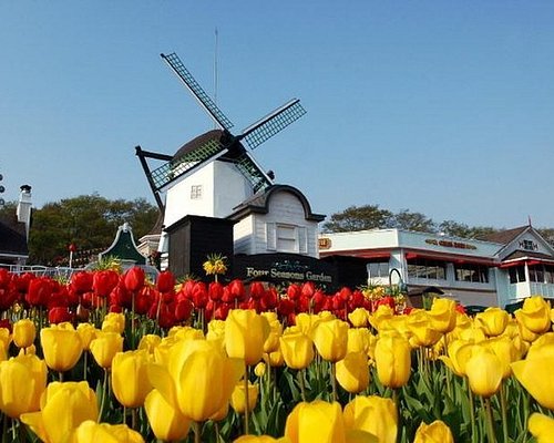 seoul family tour packages