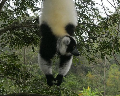tour guide madagascar 2