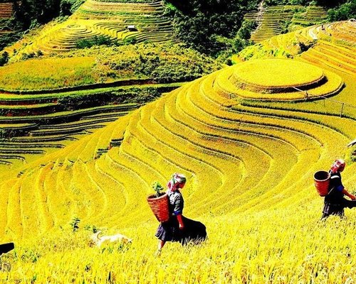 Sapa 4WD, ATV & Off-Road Tours là một chuyến hành trình đầy phiêu lưu và thú vị để khám phá vẻ đẹp hoang sơ của Sa Pa, Việt Nam. Nếu bạn muốn trải nghiệm những cung đường mạo hiểm và đỉnh núi đẹp nhất, hãy xem ngay hình ảnh liên quan đến chuyến đi này để cảm nhận được sự hồi hộp và phấn khích.