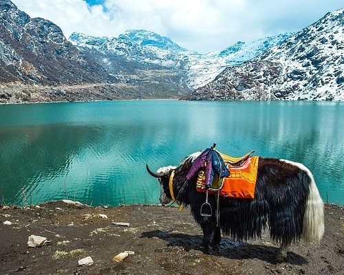 tour guide for sikkim