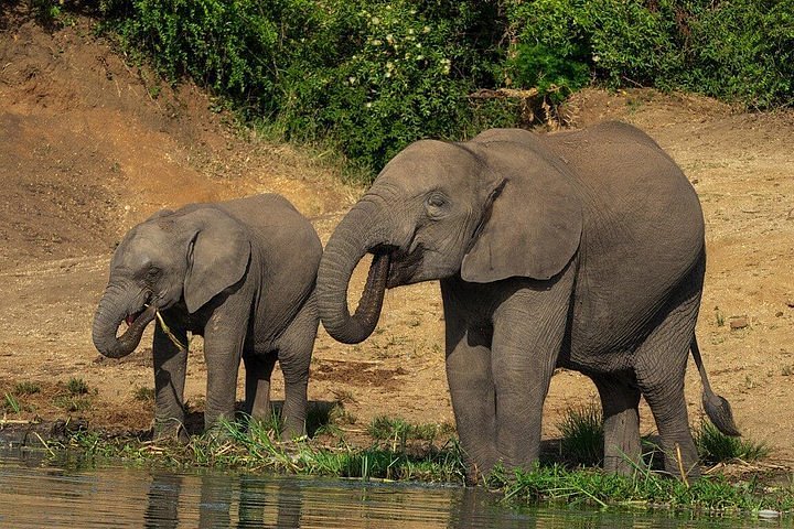 2024 2 Days Murchison Falls National Park