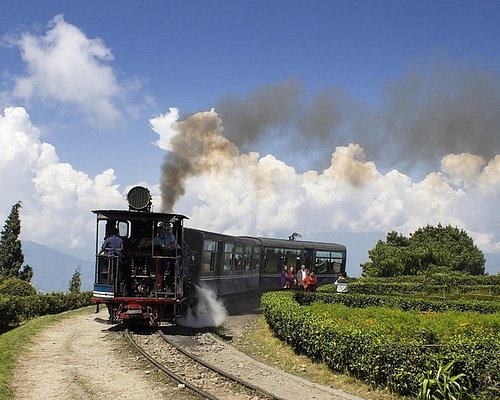 tour plan to darjeeling