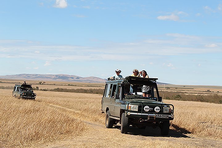 2024 Masai Mara, Amboseli National Park 5days Safari.