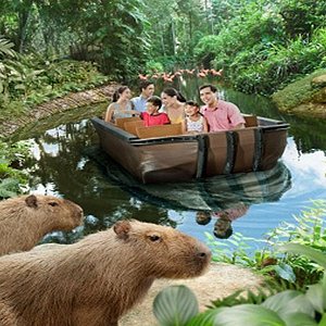 21年 リバーサファリ 行く前に 見どころをチェック トリップアドバイザー 21年 リバーサファリ 行く前に 見どころをチェック トリップアドバイザー