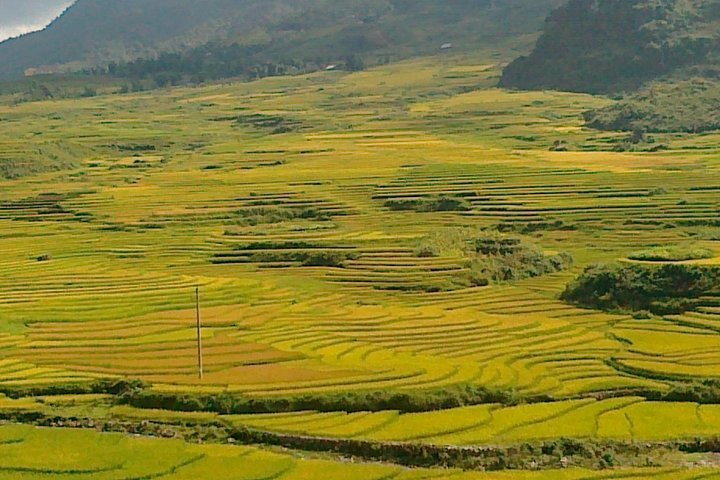 2023 Sapa private tour 2 days 1 night provided by Vietnam Top Travel