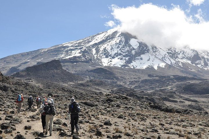 2024 8 Days Lemosho Route - Climb Mount Kilimanjaro