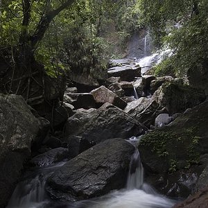 sinharaja rainforest tour