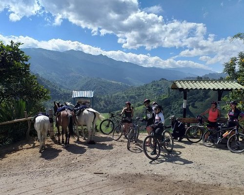 Armenia, Quindio Botanical Garden and Coffee Farm Private Tour 2023