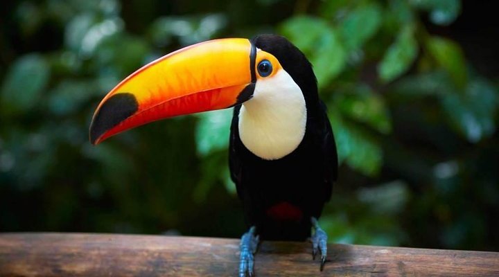 Coca, Ecuador 2023: Best Places to Visit - Tripadvisor