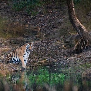 Pandit Jawaharlal Nehru National Park (Nagpur): All You Need to Know