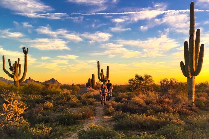 THE 15 BEST Things to Do in Scottsdale Updated 2024