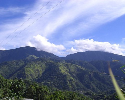 THE BEST Saint Ann Parish Coffee & Tea Tours (with Photos) - Tripadvisor
