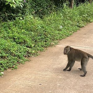 The 10 Best Things To Do In Pathum Thani Province 21 With Photos Tripadvisor Must See Attractions In Pathum Thani Province Thailand The 10 Best Things To Do In Pathum Thani Province 21 With Photos Tripadvisor Must See Attractions In Pathum Thani Province Thailand
