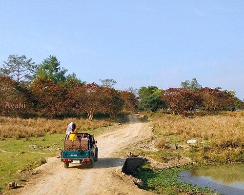 assam tour package from ahmedabad
