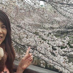 21年 目黒区で絶対外さないおすすめ観光スポットトップ10 定番から穴場まで トリップアドバイザー 21年 目黒区で絶対外さないおすすめ観光スポットトップ10 定番から穴場まで トリップアドバイザー