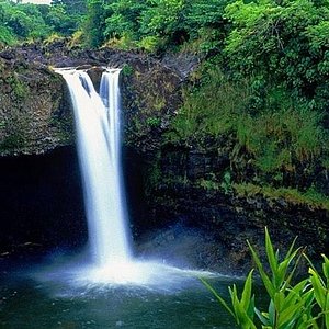 Best things to do in Hilo 2024  Attractions & activities - Klook  Philippines