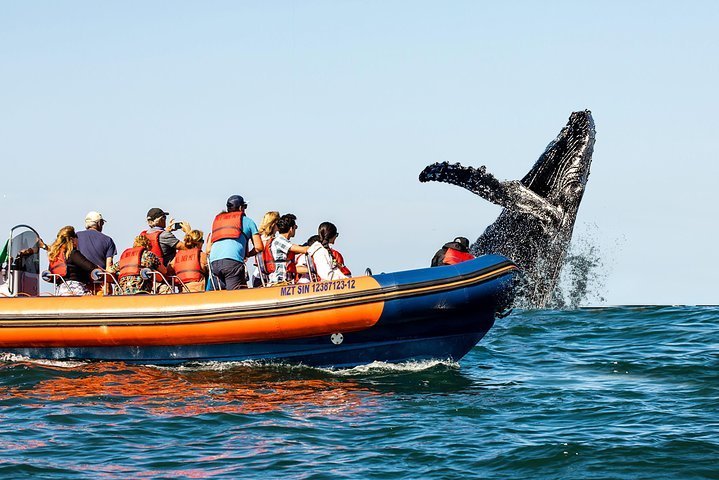 THE 10 BEST Mazatlan Tours Excursions For 2024 With Prices   Caption 