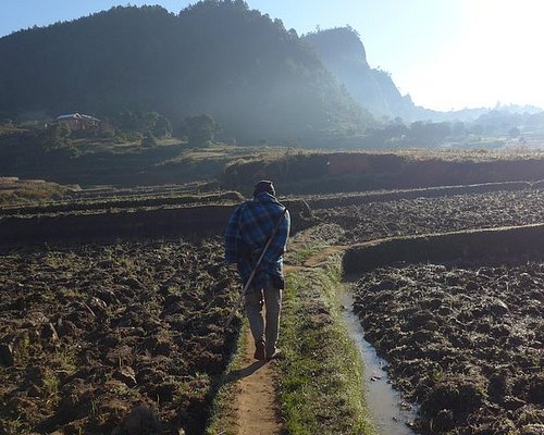 tour guide madagascar 2