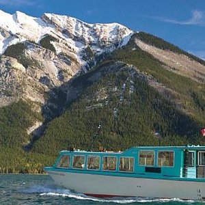 lake minnewanka cruise pet friendly