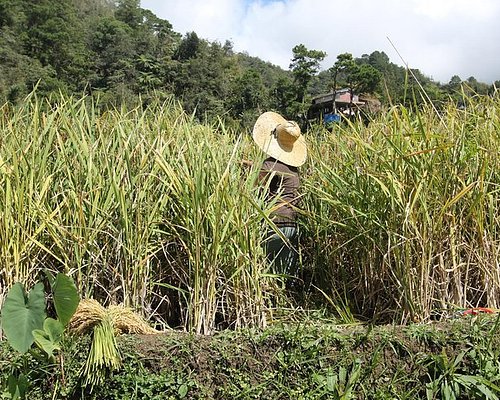 central luzon tour