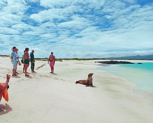galapagos islands eco tours