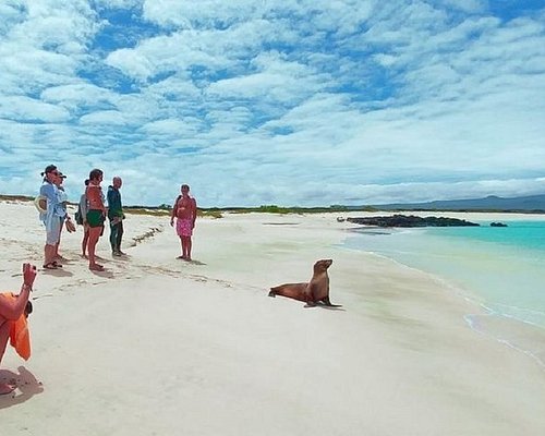 eco tourism in galapagos