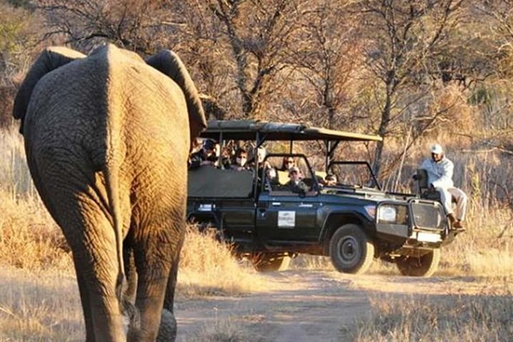 2023 2 Days/ 1 Night - Dinokeng Safaris and Cullinan tours