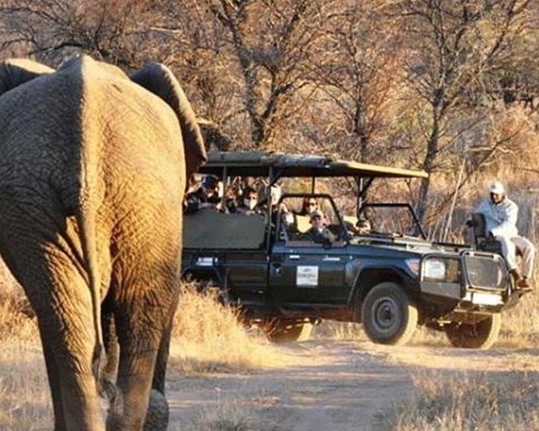 DINOKENG GAME RESERVE (Hammanskraal) - All You Need to Know BEFORE You Go