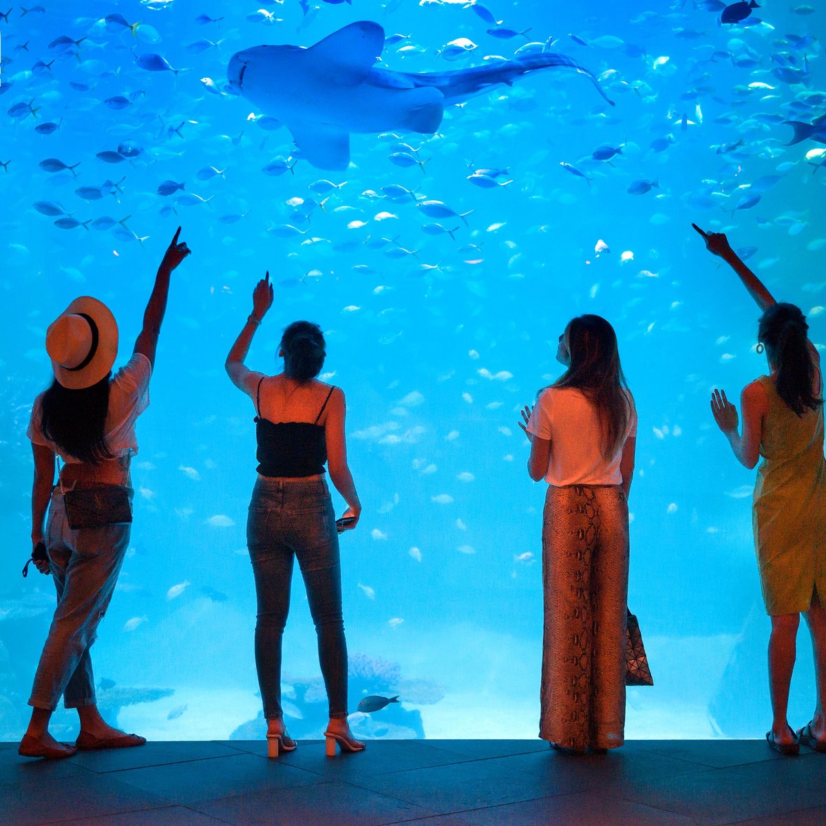 Aquaria Phuket Thailand, Пхукет: лучшие советы перед посещением -  Tripadvisor