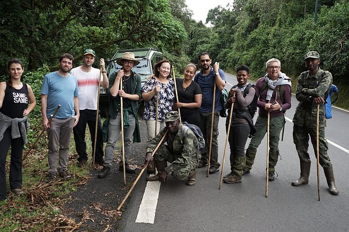 2024 2 Days Chimpanzee Tracking In Nyungwe National Park Rwanda 