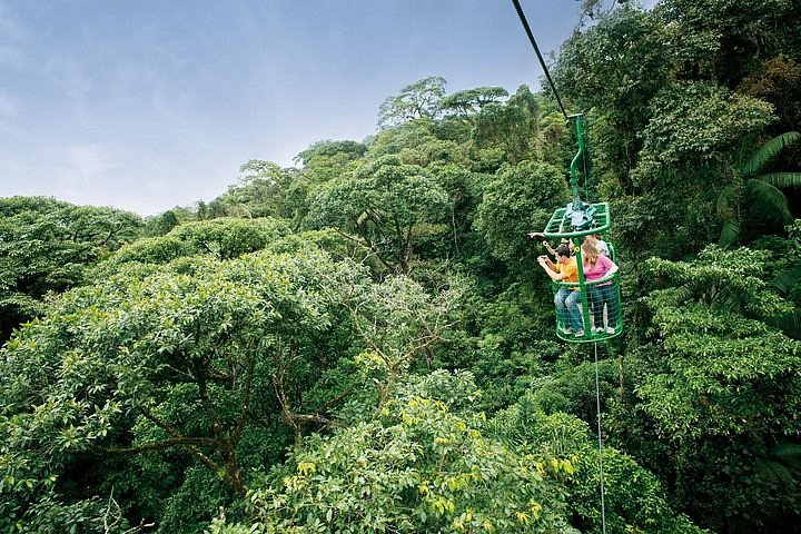 Jungle fog - Foto de São José, San Jose Metro - Tripadvisor