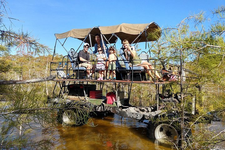 swamp buggy tour everglades