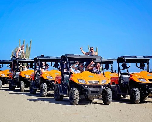 top excursions in aruba