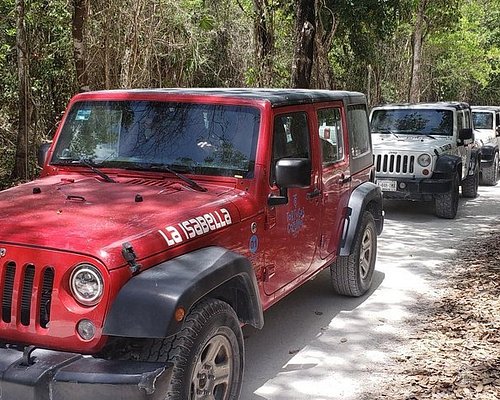 private excursions in cozumel