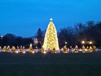 national christmas tree lighting 2021 lottery