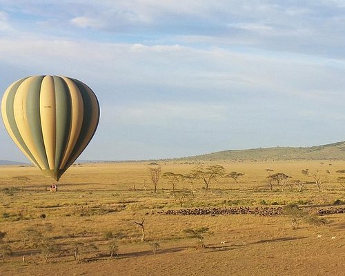 Eik liter Persoon belast met sportgame THE 5 BEST Serengeti National Park Balloon Rides (Updated 2023)