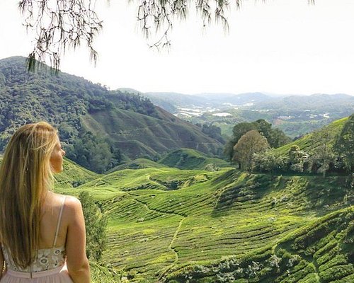 cameron highland tanah rata