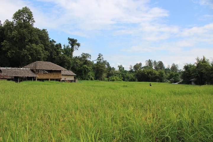 2023 Private! Morning alms&Doi suthep&Wat Umong + Monjam & Hill tribe ...