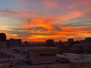 Upside rooftop bar view - Picture of Canopy by Hilton Dallas Uptown -  Tripadvisor