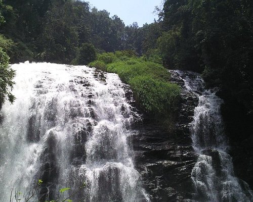 local tour operators in coorg