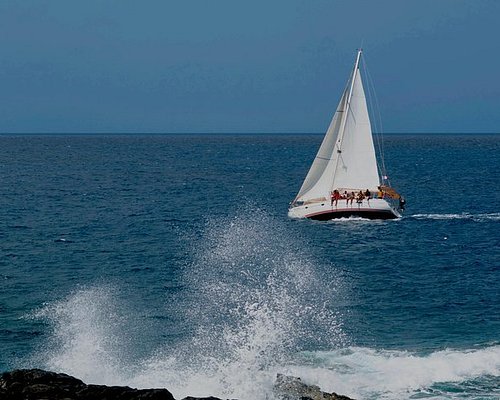 bateau sans permis insubmersible - Photo de Alizes Adventure, Île de  Basse-terre - Tripadvisor