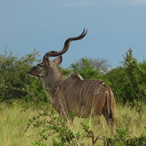 Iringa, Tanzania 2023: Best Places to Visit - Tripadvisor