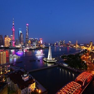 Dog to girl sex in Shanghai