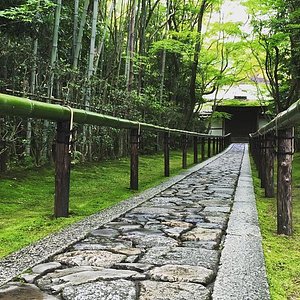 Kyoto Yokooji Movement Park - Everything to Know BEFORE You Go (with Photos)